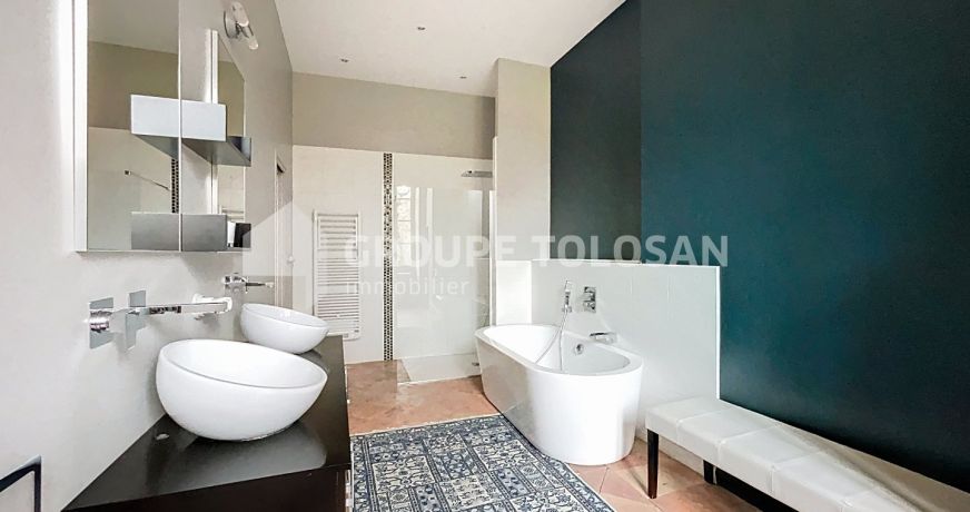 vente Propriété Blagnac