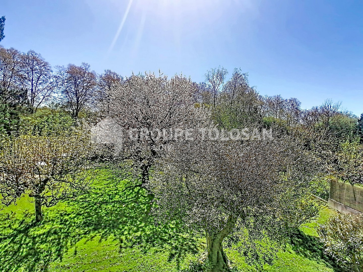 vente Maison Balma - Photo 14