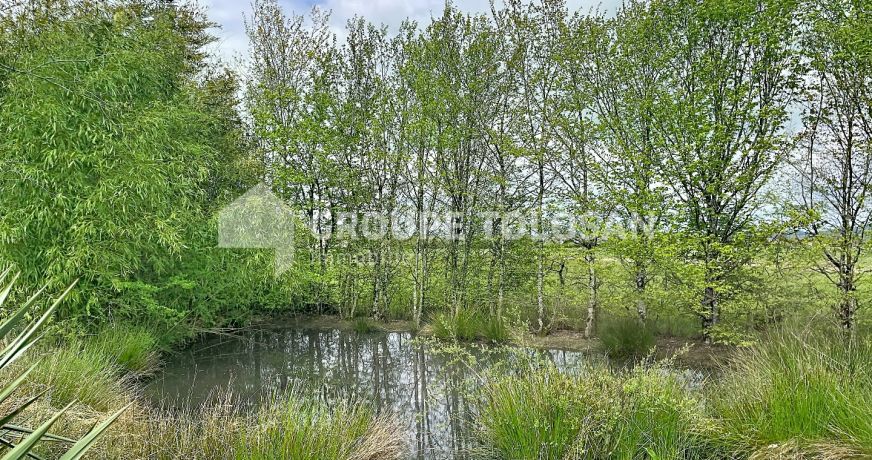 vente Maison de maître Montastruc-la-conseillere