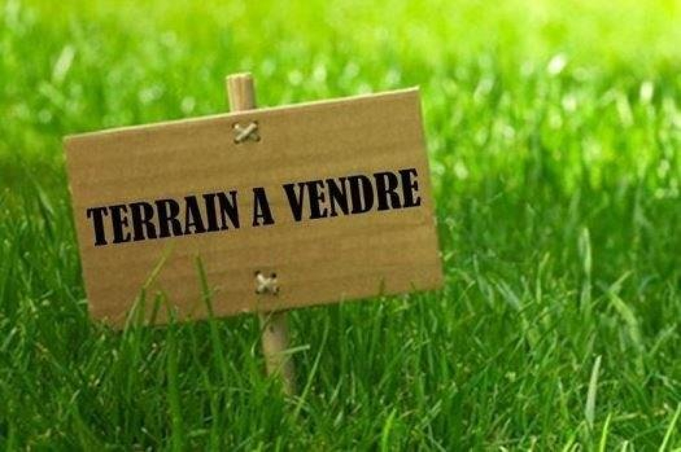 vente Terrain Montrabe - Photo 1