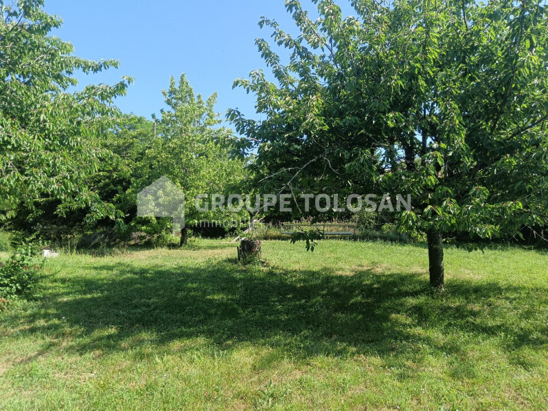 vente Terrain Montrabe - Photo 1