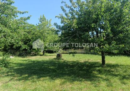 vente Terrain Montrabe