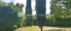 vente Maison Montrabe