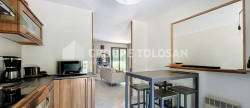vente Maison Balma