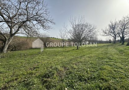 vente Terrain Verfeil