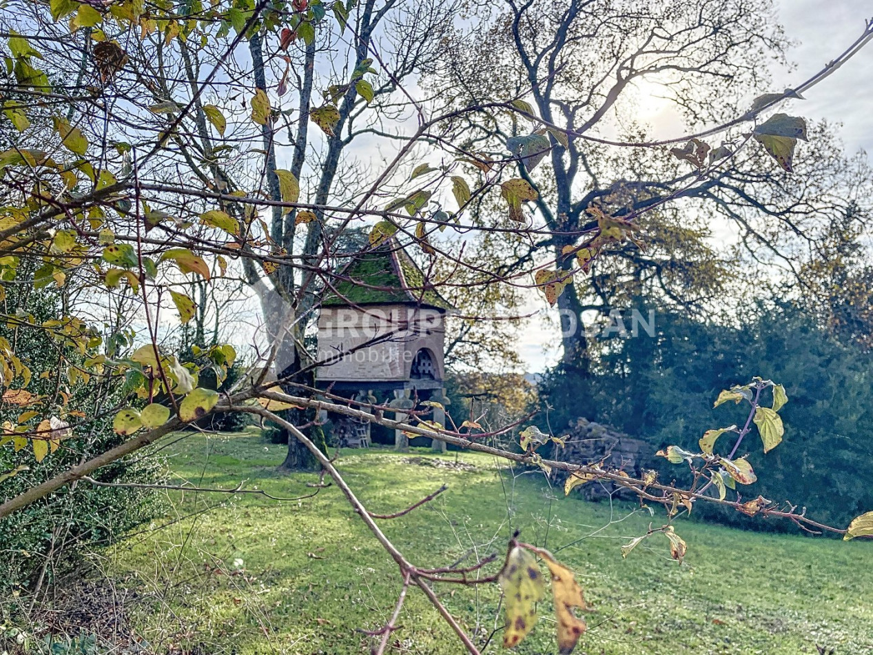 vente Propriété Toulouse - Photo 12