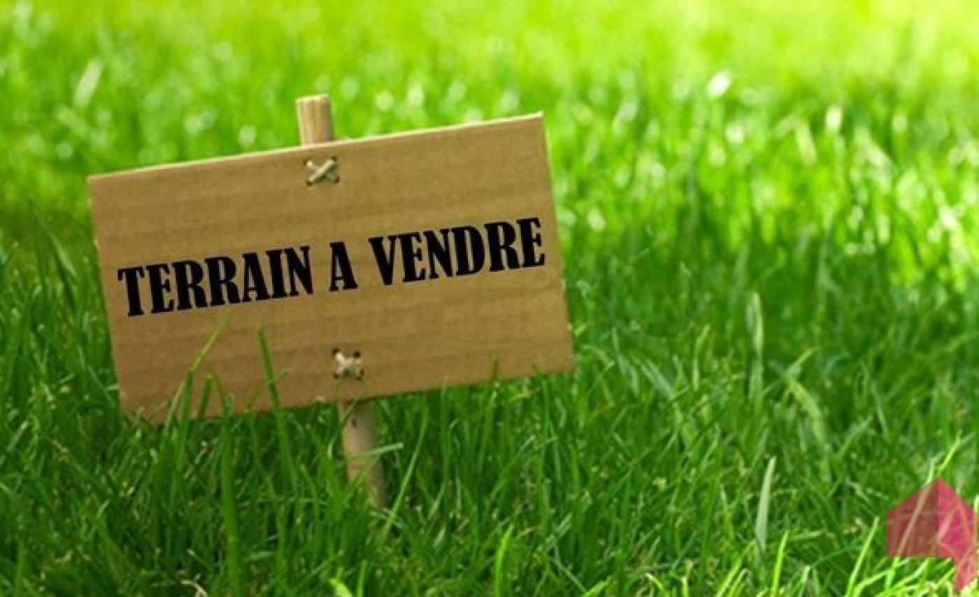 vente Terrain Montrabe - Photo 1