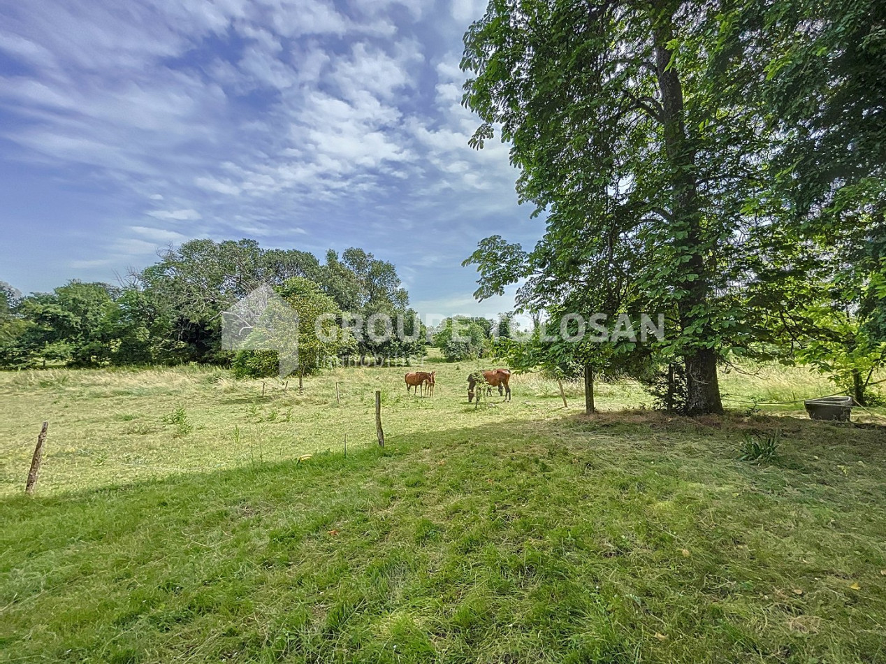 vente Château Toulouse - Photo 17