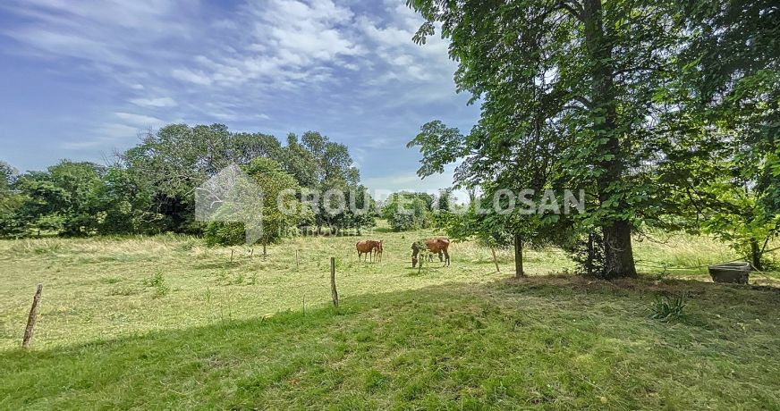 vente Château Toulouse