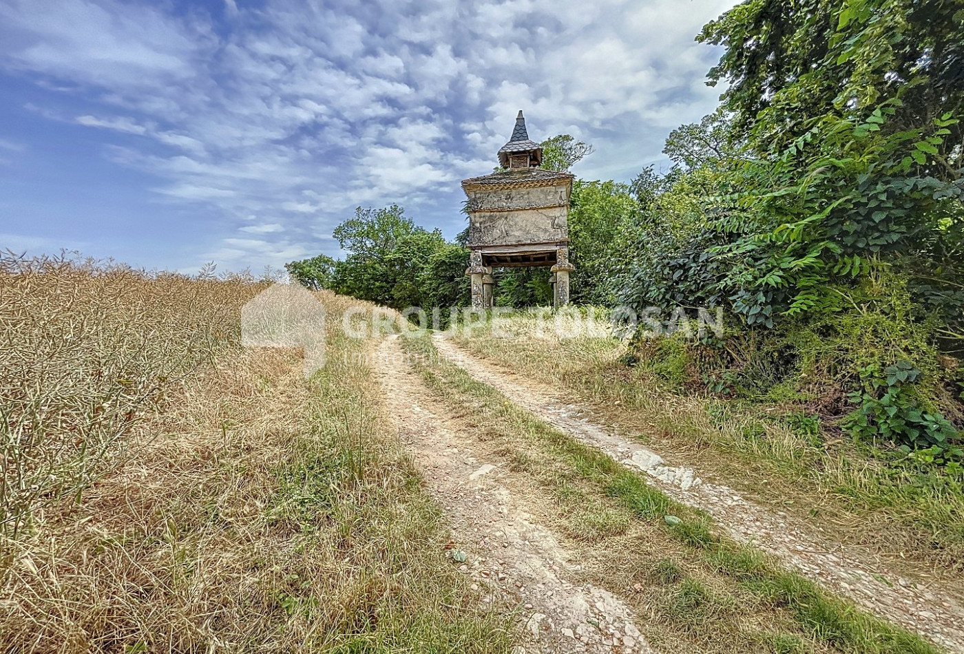 vente Château Toulouse - Photo 3