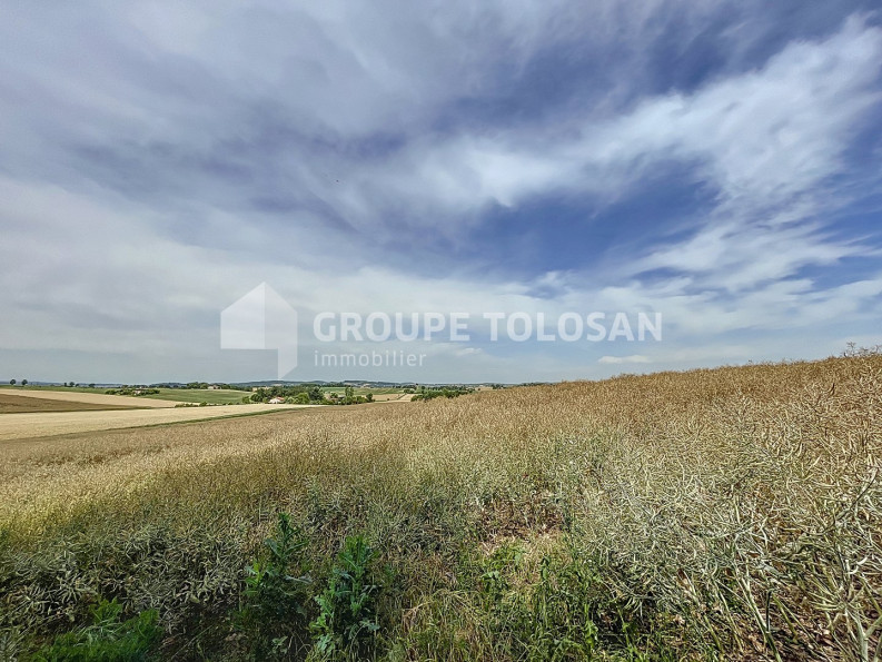 vente Château Toulouse - Photo 4