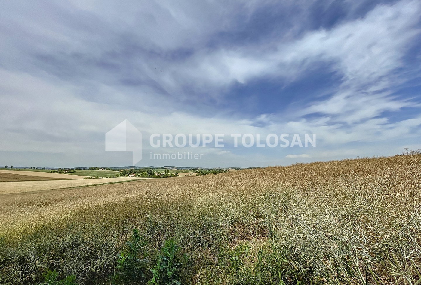 vente Château Toulouse - Photo 4