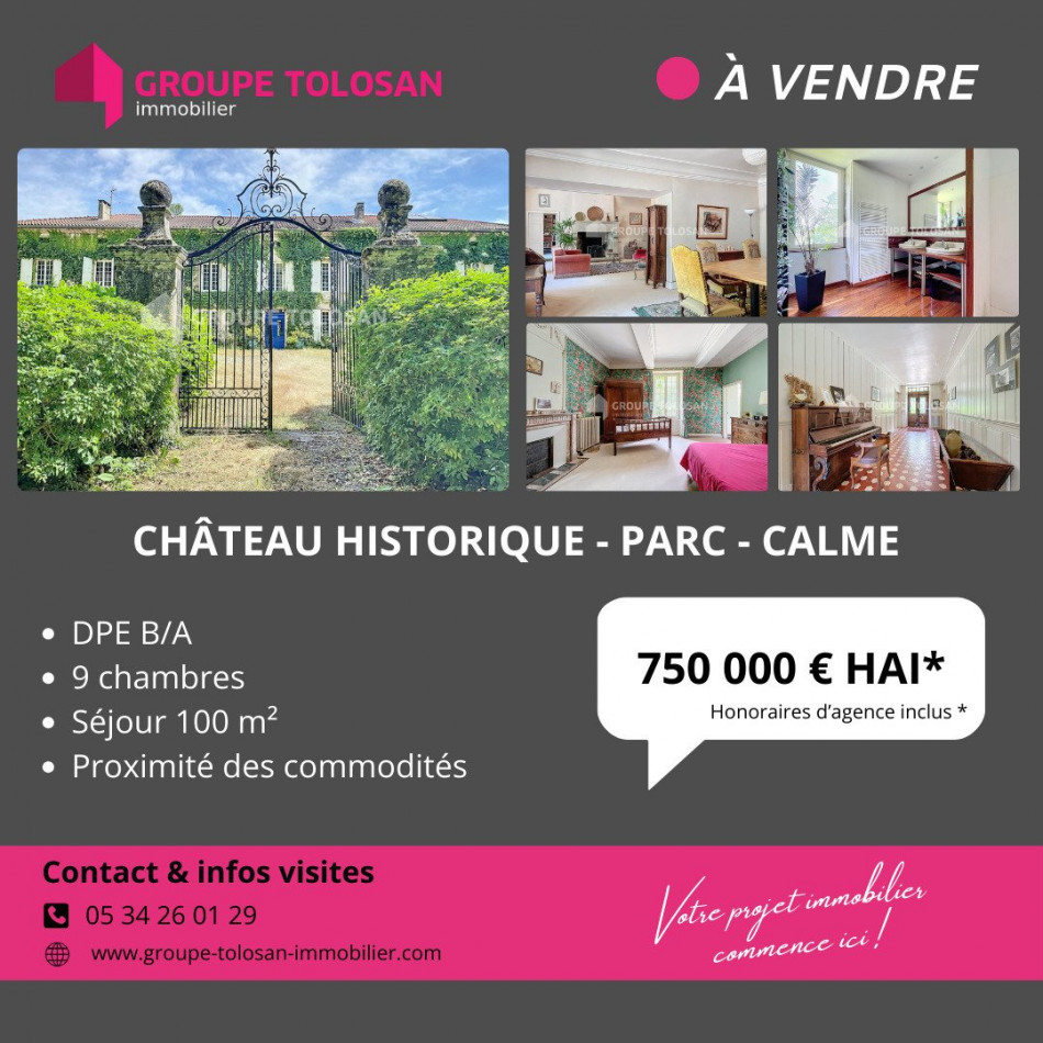 vente Château Toulouse - Photo 19