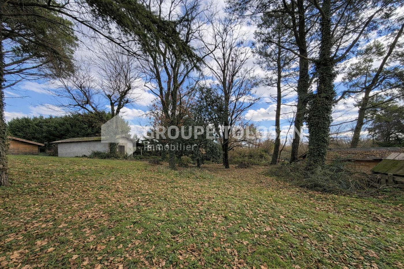 vente Terrain Montrabe - Photo 2