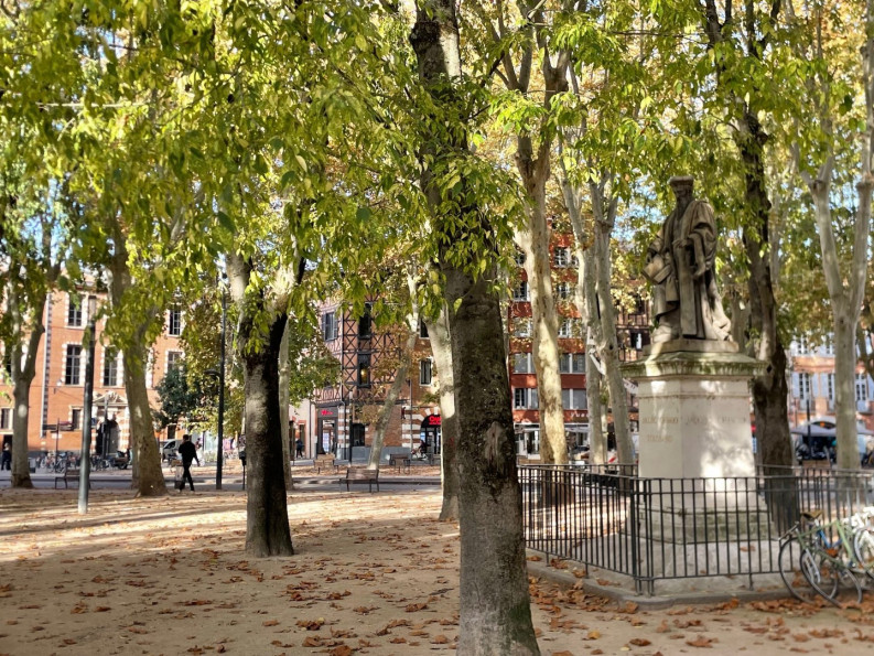 location Appartement Toulouse - Photo 1