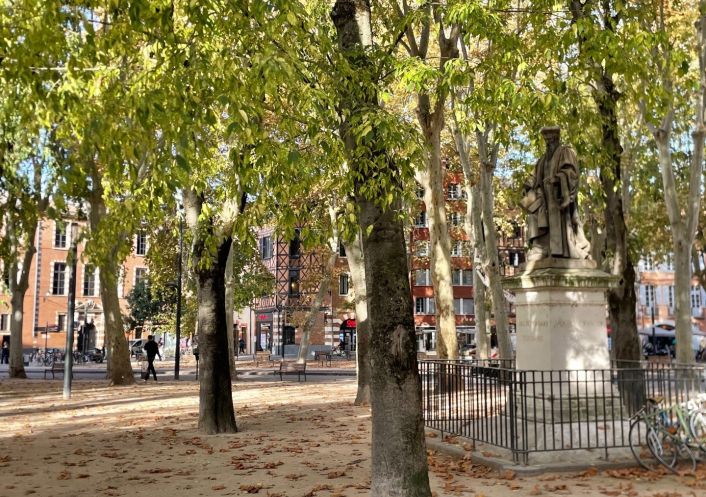 location Appartement Toulouse