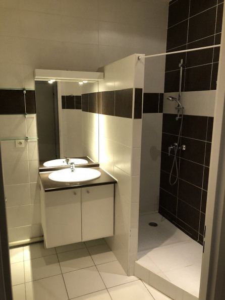 location Appartement Toulouse - Photo 7