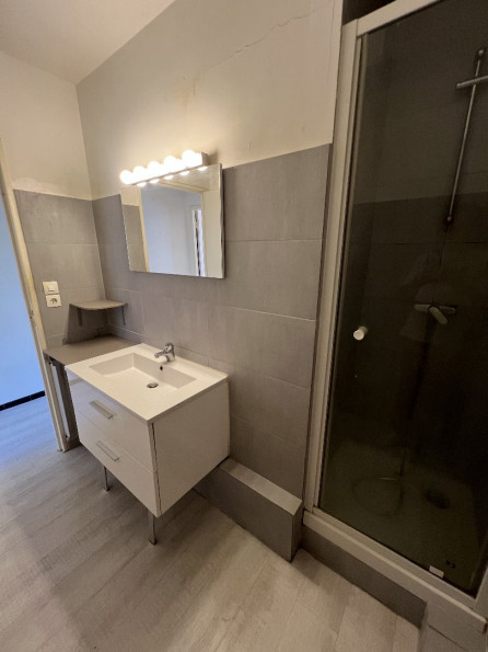 vente Appartement Toulouse - Photo 9