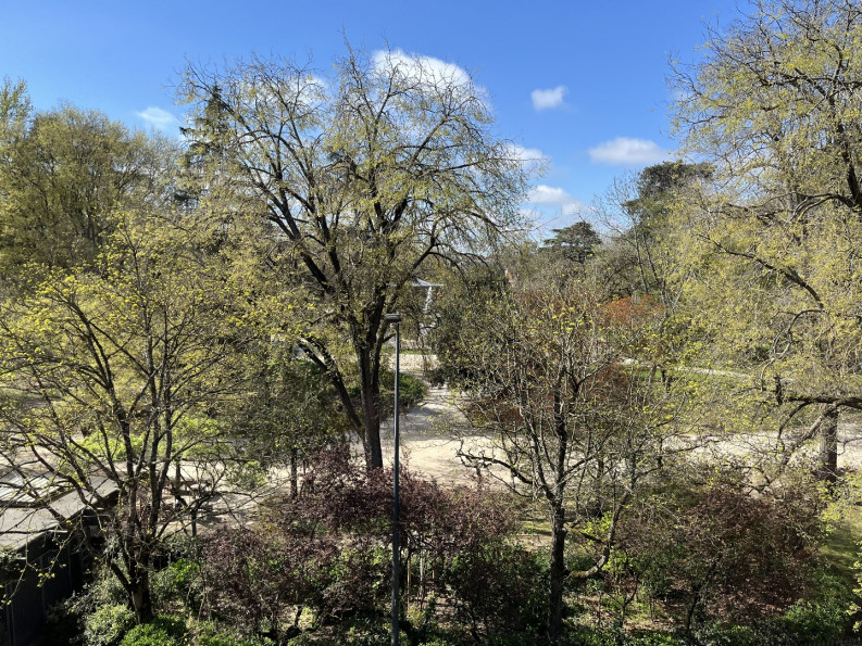 vente Appartement Toulouse - Photo 3