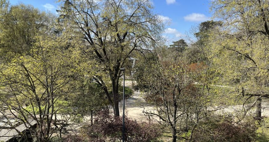 vente Appartement Toulouse