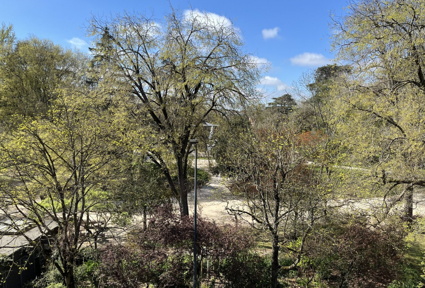 vente Appartement Toulouse - Photo 3