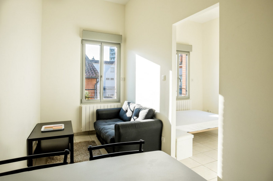 location Appartement Toulouse - Photo 2