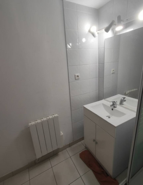 location Appartement Toulouse - Photo 5