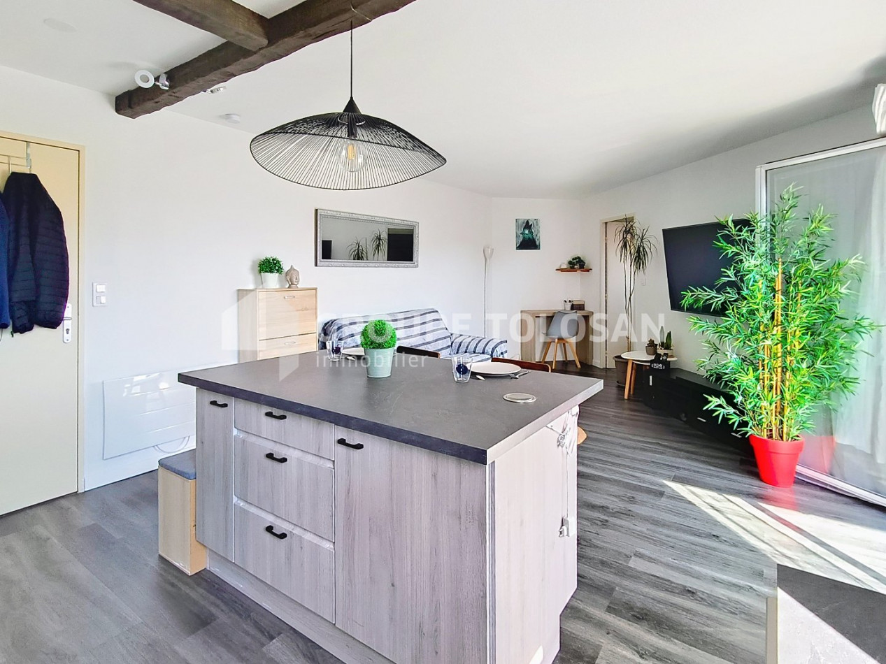 vente Appartement Saint-orens-de-gameville - Photo 5