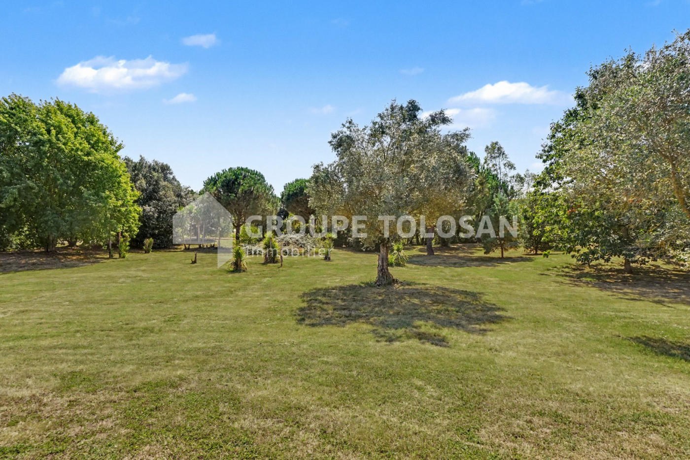 vente Propriété Quint Fonsegrives - Photo 5