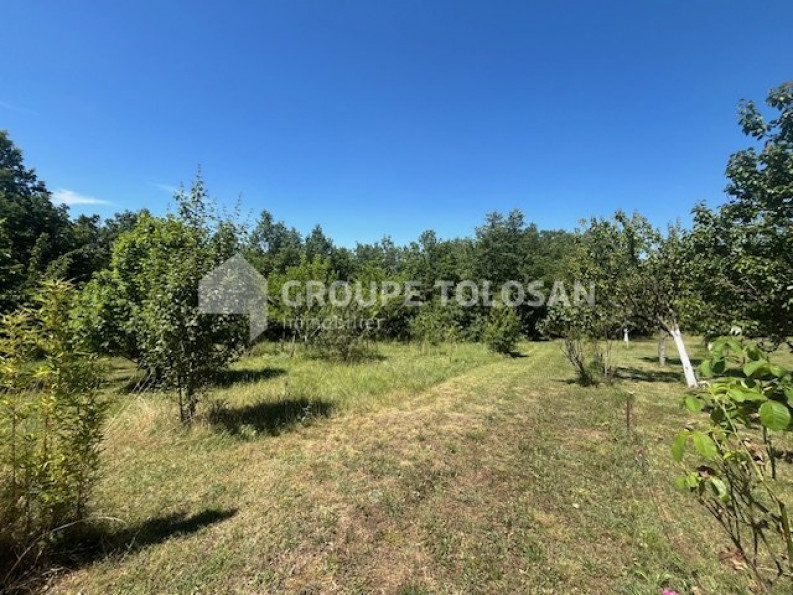 vente Terrain Lanta - Photo 4