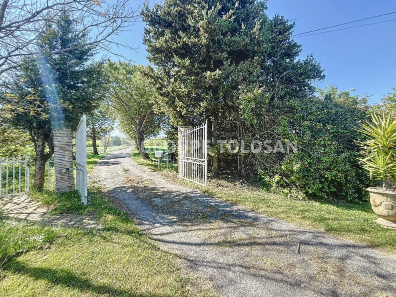 vente Ferme Caraman - Photo 3