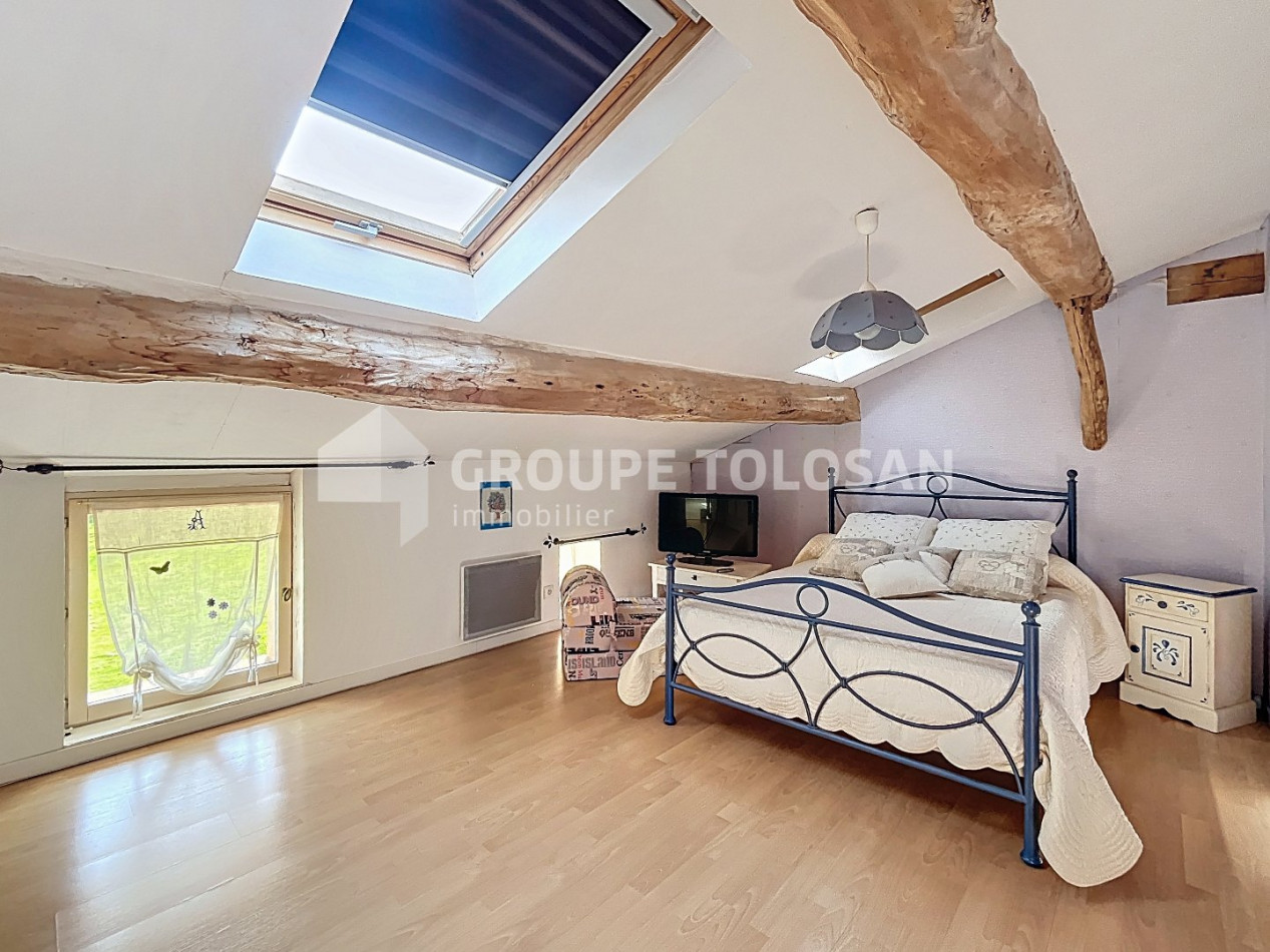 vente Ferme Caraman - Photo 12