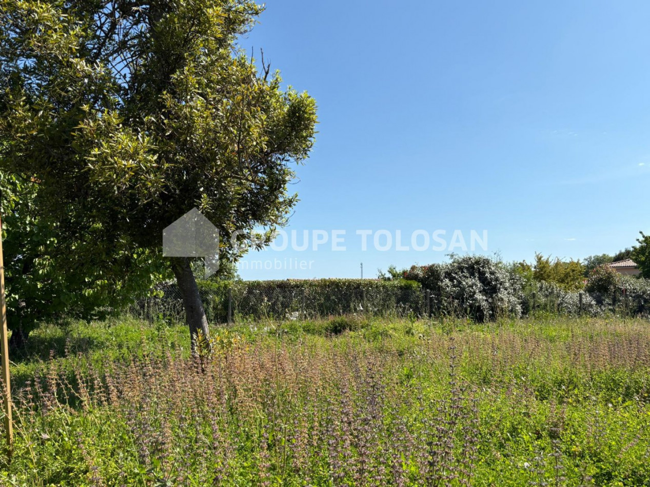 vente Maison Quint Fonsegrives - Photo 2