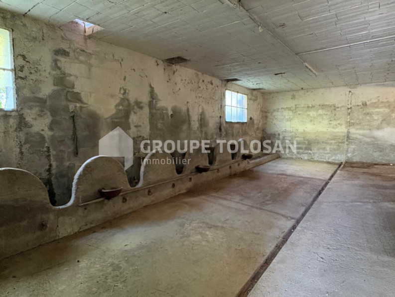 vente Ferme Lanta - Photo 10