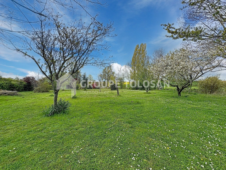 vente Corps de ferme Cuq Toulza - Photo 7