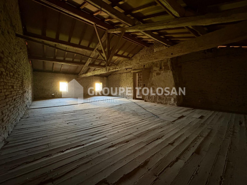 vente Ferme Caraman - Photo 10