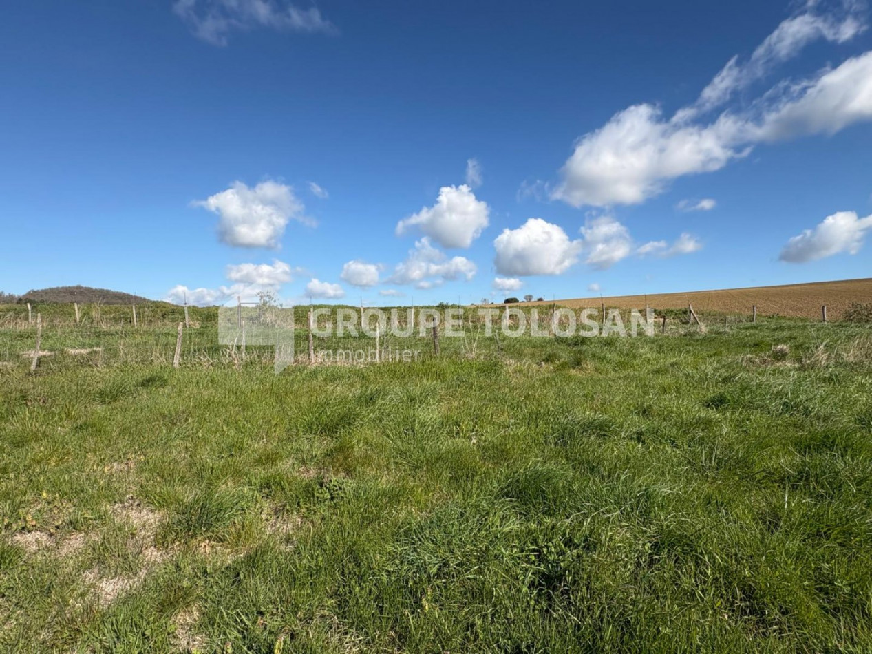vente Ferme Caraman - Photo 8