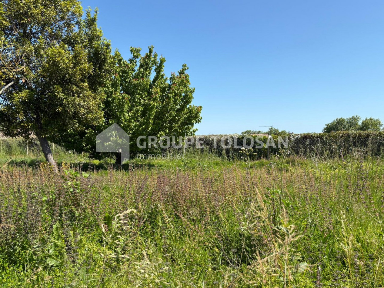 vente Maison Sainte Foy D'aigrefeuille - Photo 3