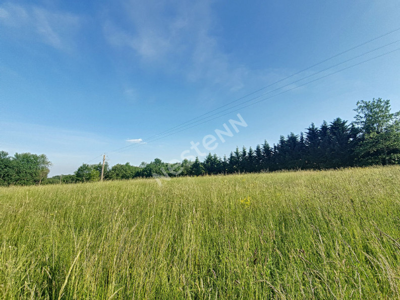 vente Terrain Cazeres - Photo 1