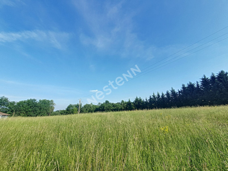 vente Terrain Cazeres - Photo 2