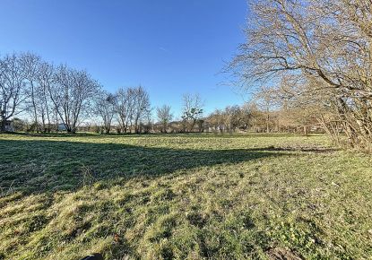 vente Terrain Beauchalot