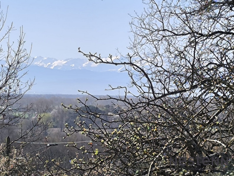 vente Terrain Rieumes - Photo 3