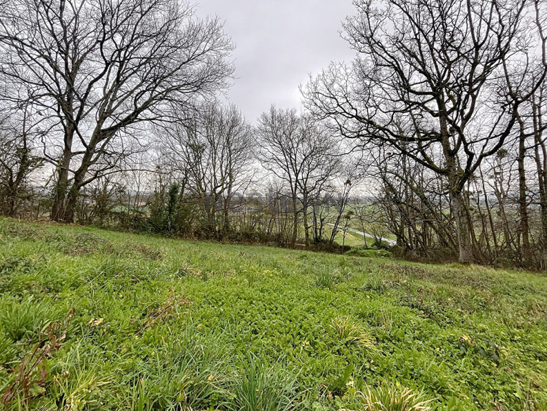 vente Terrain Martres Tolosane - Photo 1