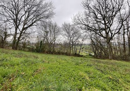 vente Terrain Martres Tolosane