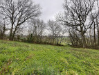 vente Terrain Martres Tolosane