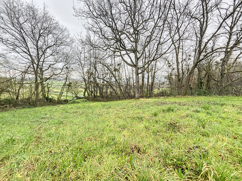 vente Terrain Martres Tolosane - Photo 2