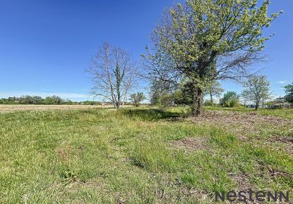 vente Terrain Peyssies