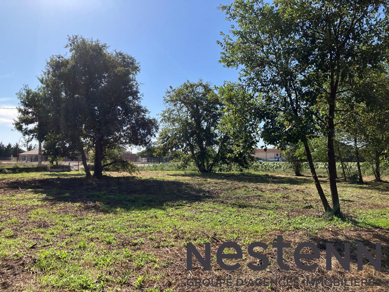 à vendre Terrain Peyssies - Photo 2