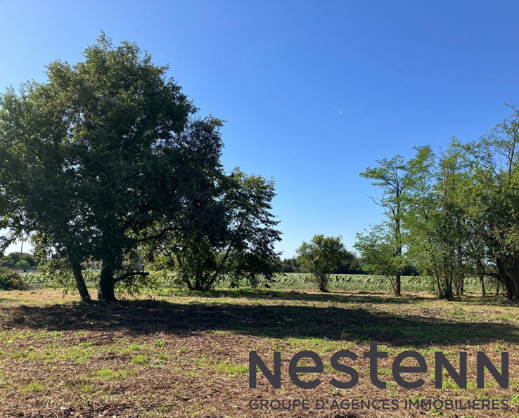 à vendre Terrain Peyssies - Photo 3