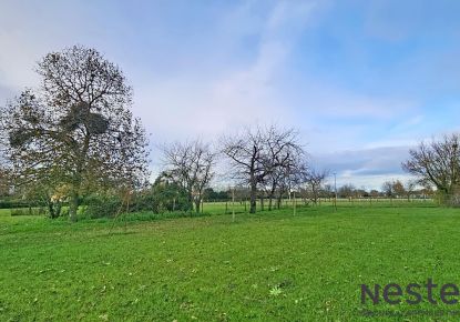 vente Terrain Gensac Sur Garonne